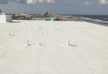 cool roof coatings in New Port