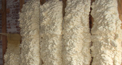 open-cell spray foam for New Port applications